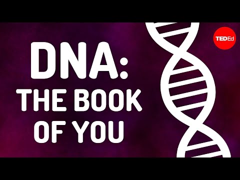 Thumbnail for the embedded element "DNA: The book of you - Joe Hanson"