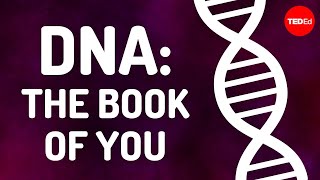 ДНК: книга о тебе — Джо Хэнсон