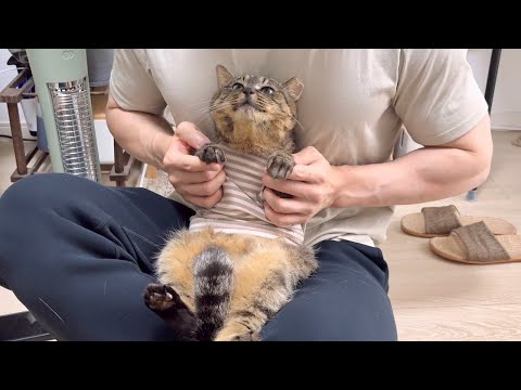 もち様へ♥3/20 Mochimaru - YouTube