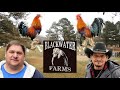 BlackWater Farms (PART 1)