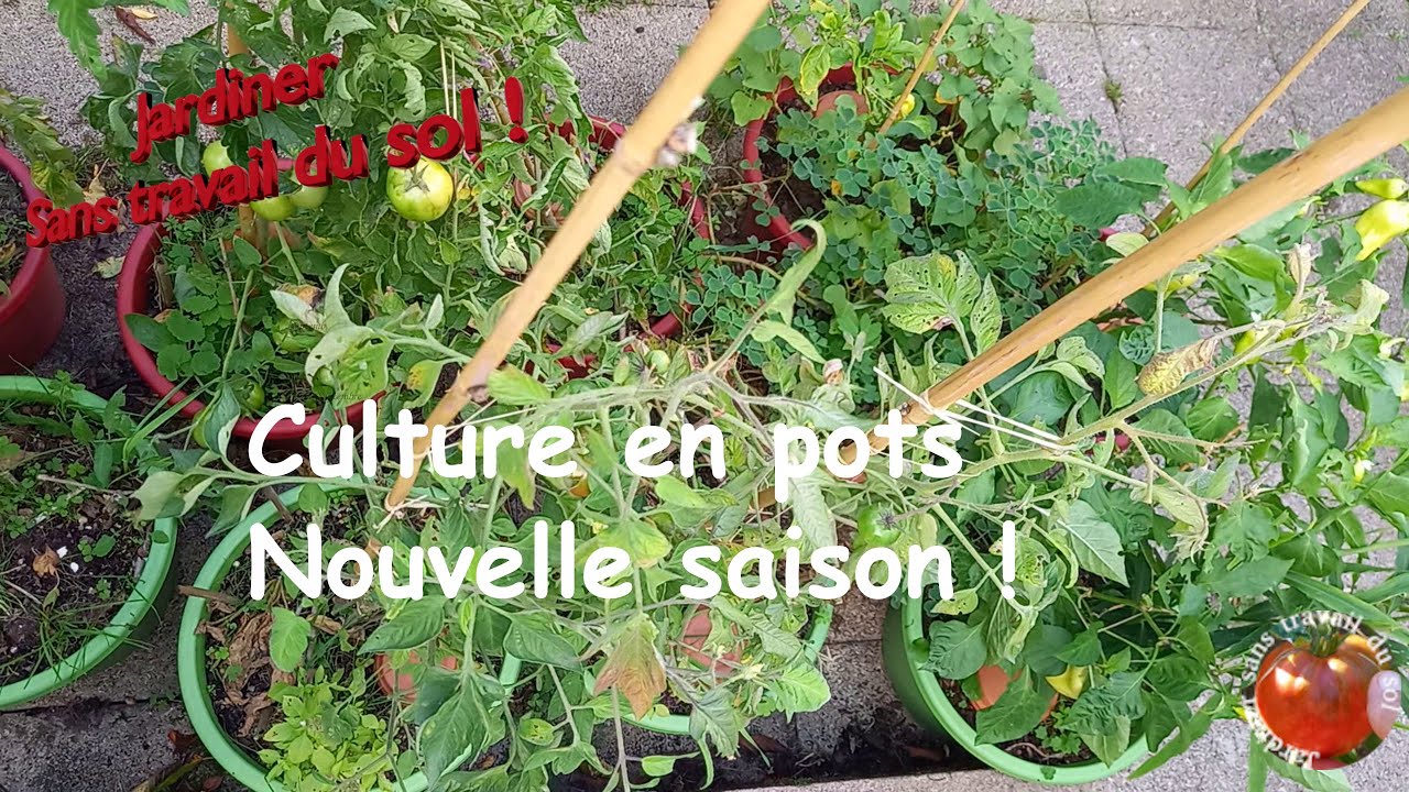 Culture en pots - Nouvelle saison