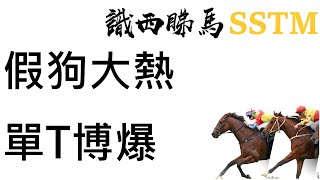 2024-05-11沙田 心水 / 賽馬 / // 跑馬 / 度馬 / 傾馬 / 分析馬匹 / 賽事分析 / 賽前預測 / 分享心水