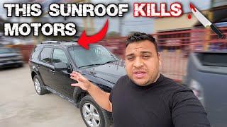 FORD ESCAPE SUNROOF KEEPS BURNING MOTORS DIAGNOSIS