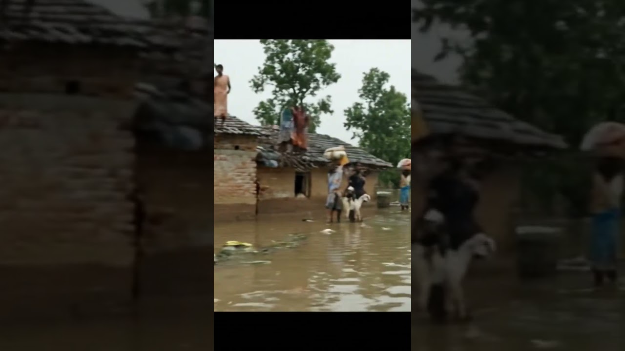 Due to heavy rainfall flood into many villages 