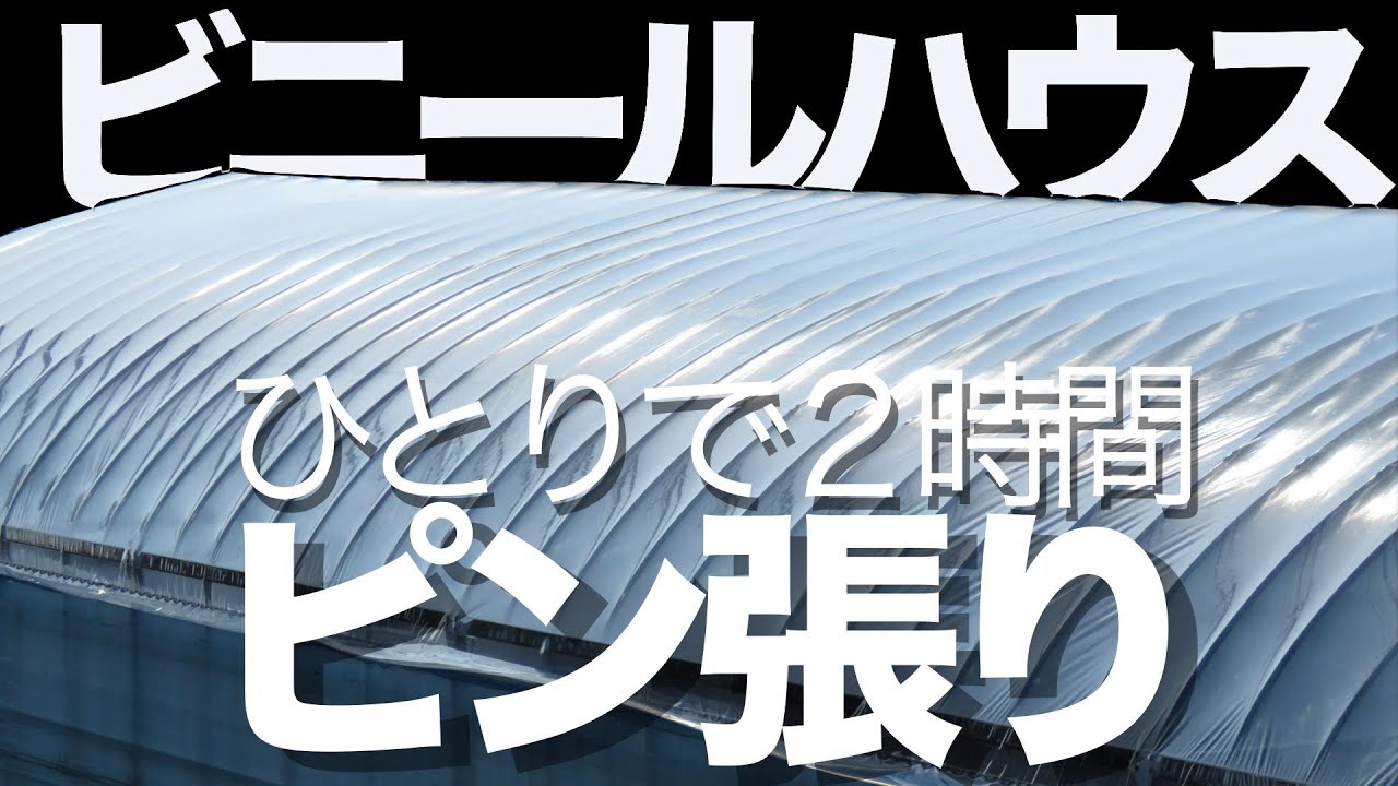 ビニールハウスの張り替え