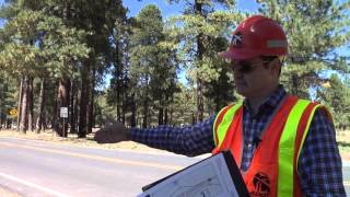 ADOT clears trees around 89A for safety