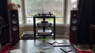Monitor Audio Silver 500 7G. Steely Dan..