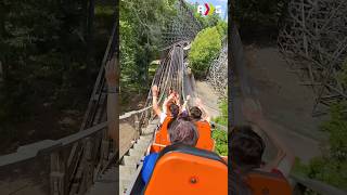 Back seat on Grizzly is INSANE! #rollercoaster #themepark #shorts
