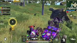 PUBG mobi . M4 bang và m4 hề . Song kiếm hợp Bích. Tội cho 2 người là đi lẻ