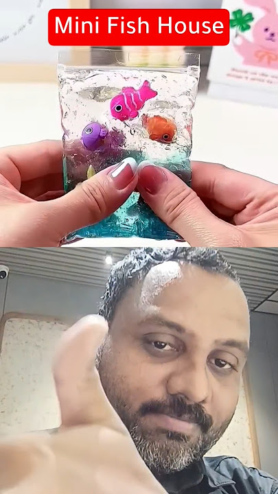 🐠DIY Mini fish house craft #shorts #diy #shortsfeed #trending