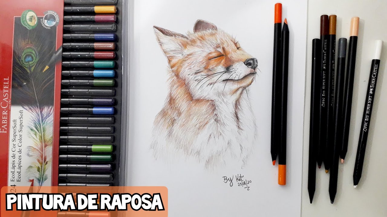 Desenho de uma raposa  Desenho, Lápis de cor, Cores