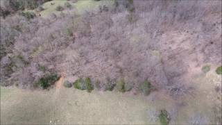 ONLINE ONLY ABSOLUTE AUCTION - AERIAL TOUR OF 85.47± ACRES IN 5 TRACTS