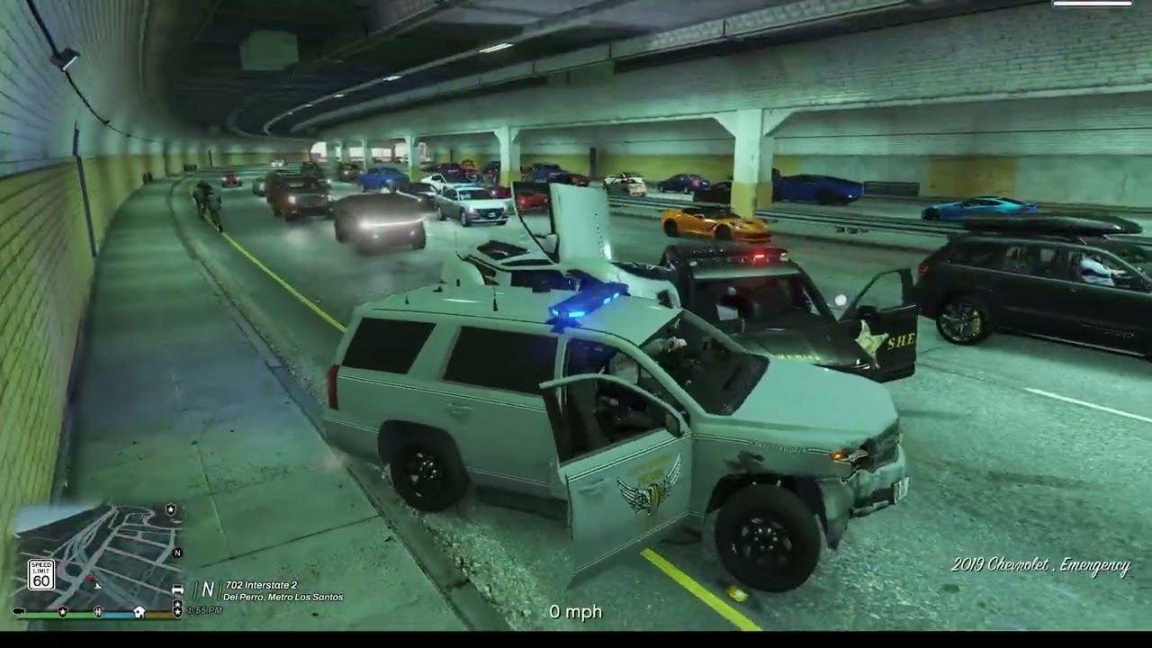 Highway Patrol: LS Coastal Patrol (LSPDFR) (GTAV)