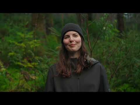 ServiceForge plants two million trees worldwide