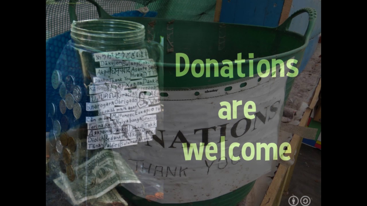 Donate to save the earth - YouTube