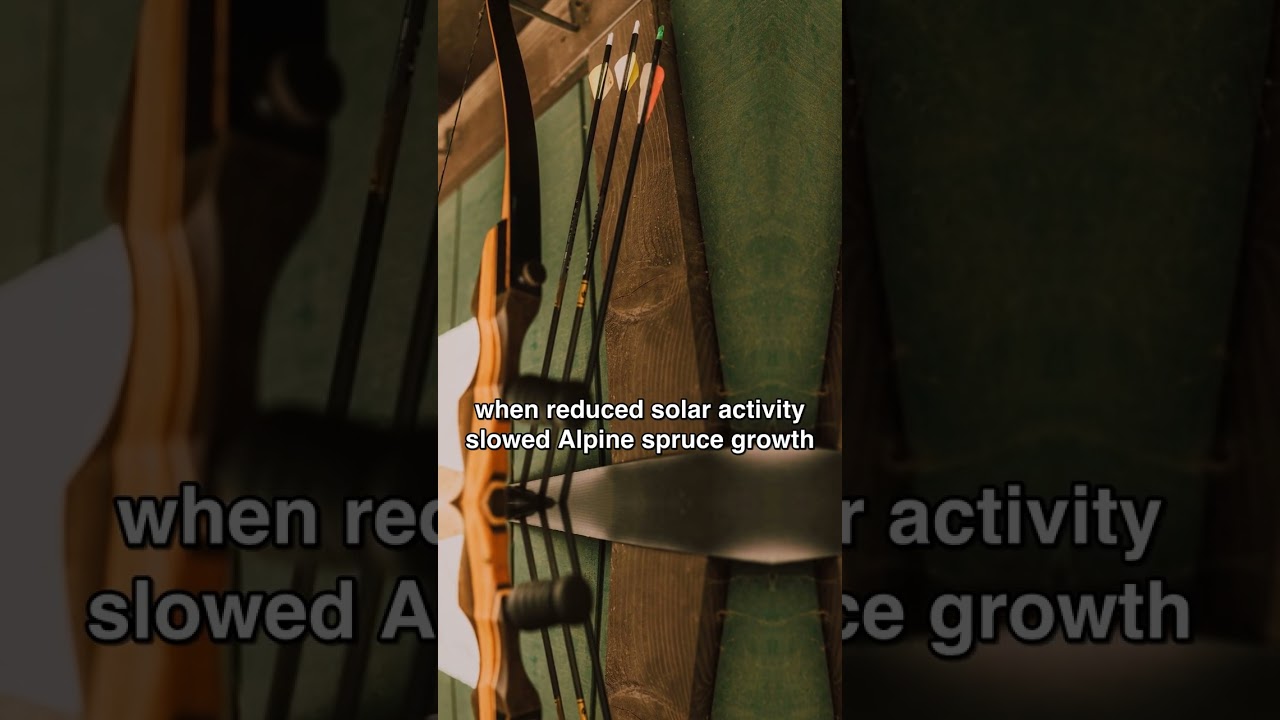 The Sound of a Frozen Forest