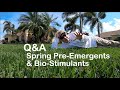 Spring Lawn FAQs: Pre-Emergents and Bio-Stimulants