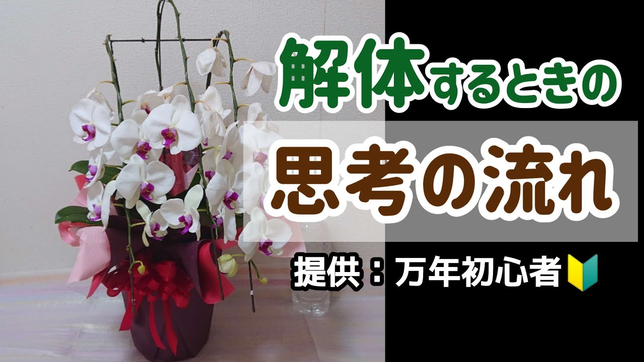 贈答用胡蝶蘭の花が終わったら解体する作業～心の声編 - YouTube