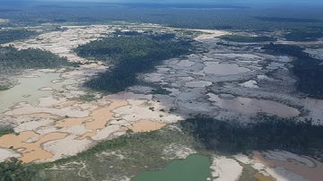 Scientists help prevent further destruction of Peru’s Amazon forest