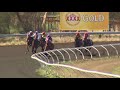 View race 4 video for 2020-02-15