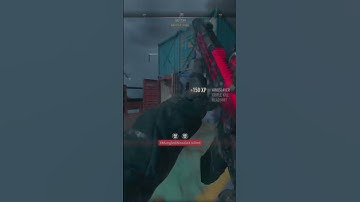 the m13c and this finisher with the new Soap skin 😩 #mw2 #callofduty #gaming