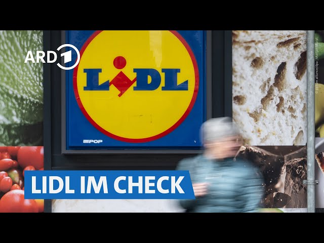 Lidl: der beste Discounter? Sortiment und Preise im Vergleich | Marktcheck SWR