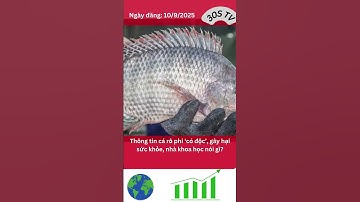 Thông tin cá rô phi ‘có độc’, gây hại sức khỏe, nhà khoa học nói gì? #tintuc #trend #tiktoktrieuview