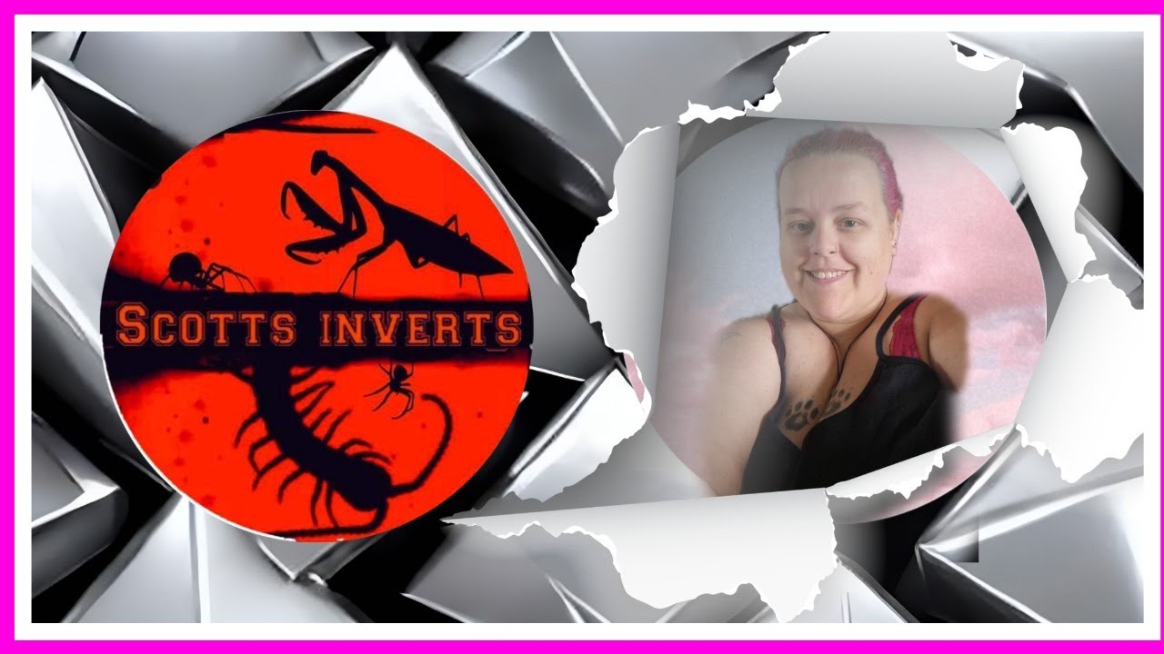 Taking over Scott's inverts one night only!!