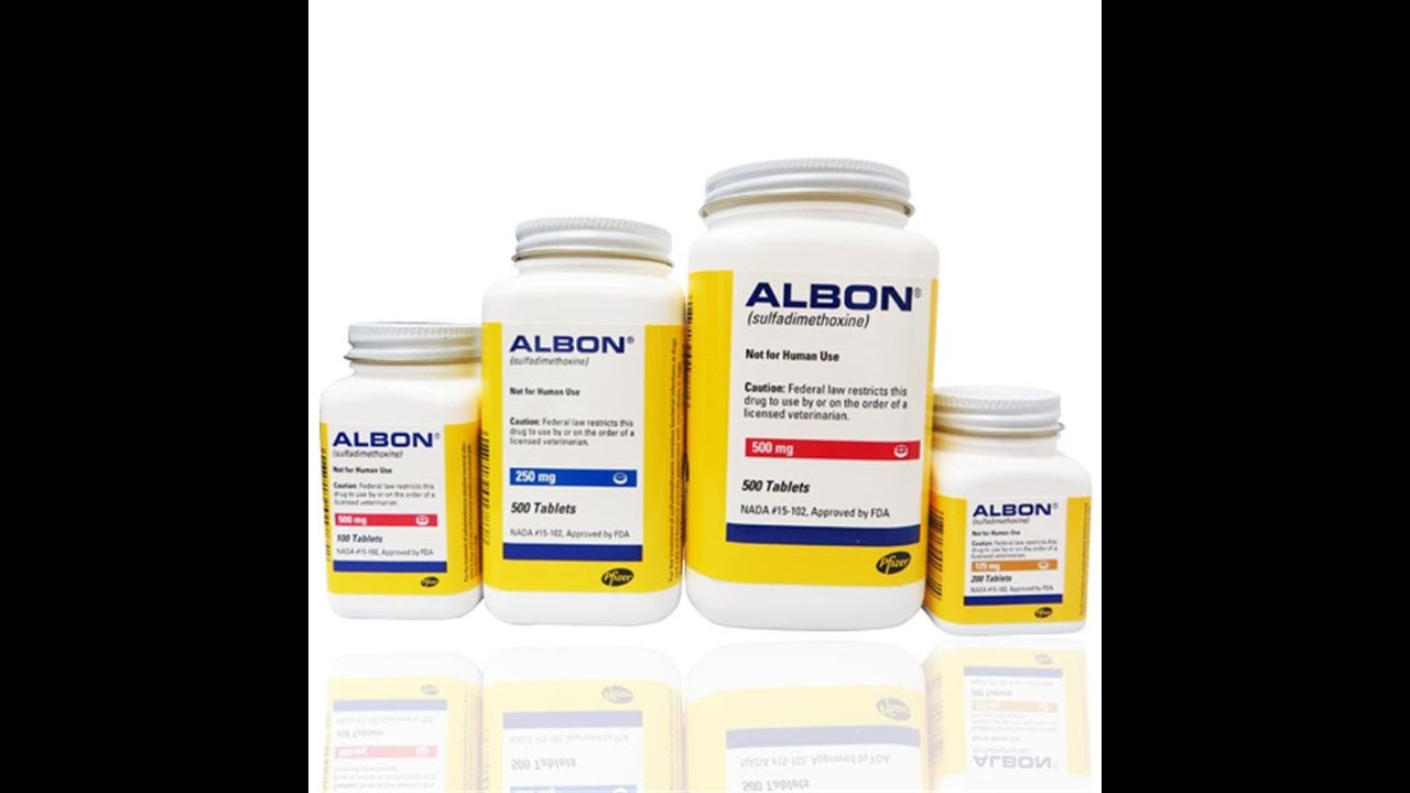 Albon Tablets - YouTube
