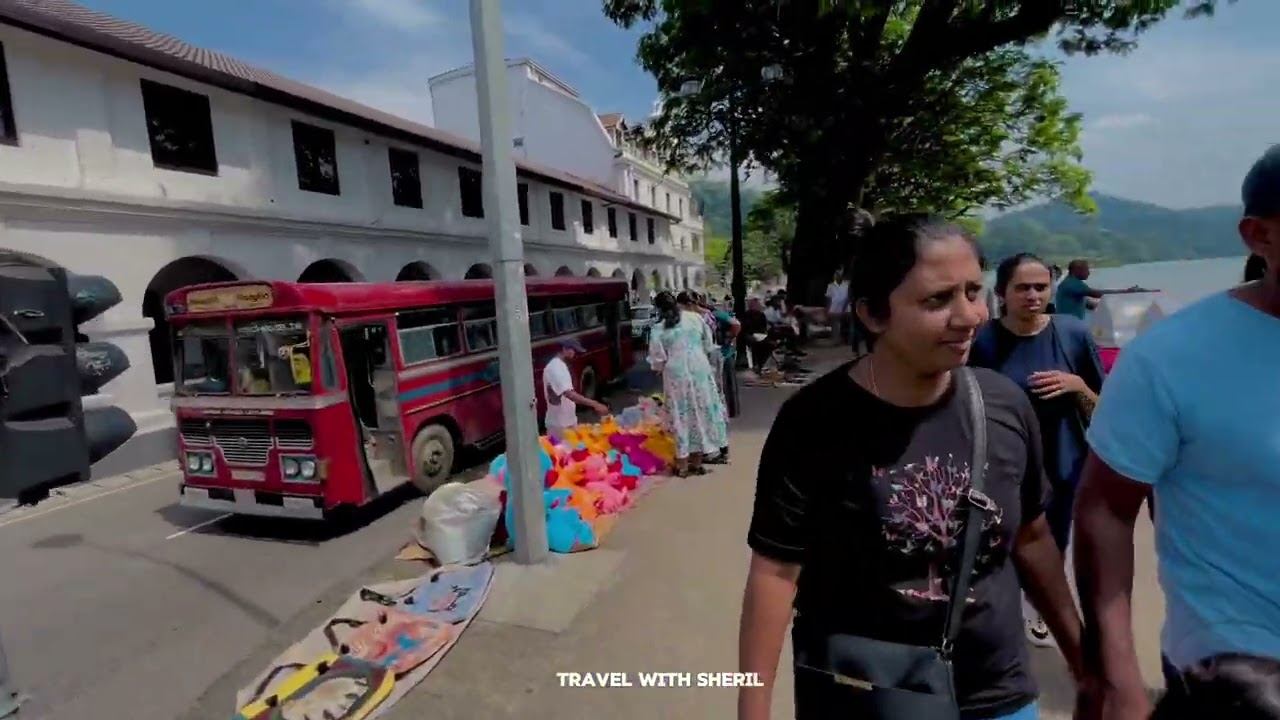 කොළඹ ඉදන් දළදා මාලිගාවට යන්න ලේසිම විදිය ❤️‍🩹🫶 