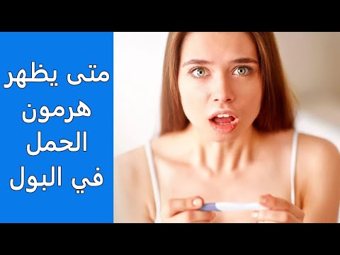 متى يظهر الحمل في البول اختبار الحمل المنزلي متى يظهر الحمل في الاختبار تحليل البول للحمل متى يبان