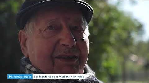 « L’animal lui ne juge pas » : les bienfaits des animaux pour les personnes âgées