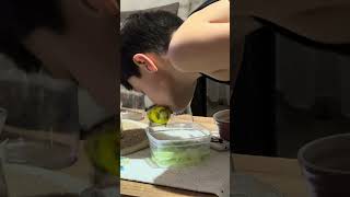 Biraz öpeyim dedim izin vermedi 🥴🥴.  #muhabbetkuşu #challenge  #funny  #muhabbetkuşuseverler