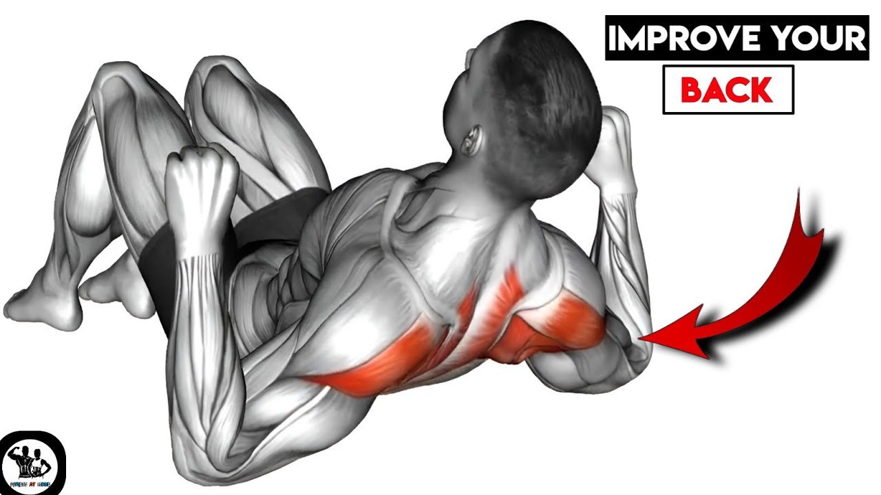 "6 Best No Equipment Back Exercises (Beginners)" YouTube