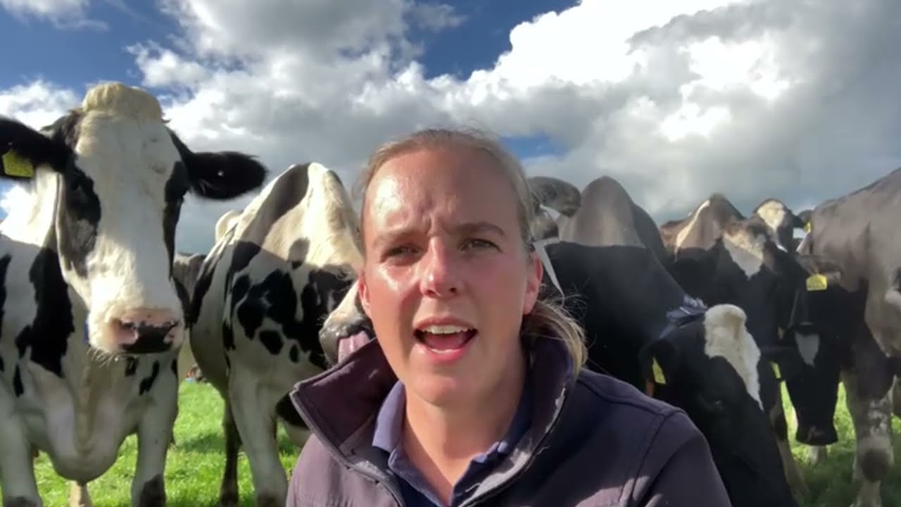 Een kijkje in de stal bij Leslie Agricola