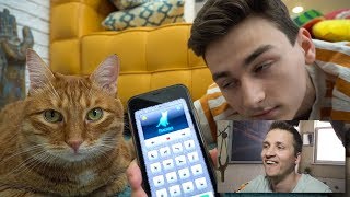 общаюсь с котом через кошачий переводчик | Реакция на TheBrianMaps общаюсь с котом через кошачий переводчик | Реакция на TheBrianMaps