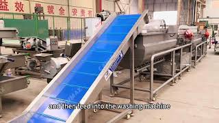 Vortex washing machine for vegetables and fruits | one video to know how it works from CANMAX