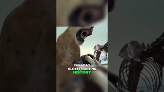 The Ultimate Guide To Hunting Expeditions In British Columbia