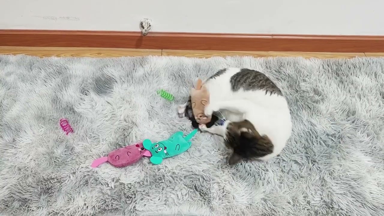 Jetczo Pet Catnip Toy for Cats