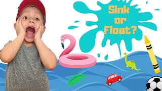 Easy DIY Science Experiment for Kids | Sink or Float | Educational Video
