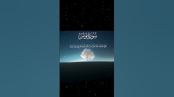 [سورة يونس: ١٢]🌹                #القرآن_الكريم #قرآن #محمد_اللحيدان #لا_اله_الا_الله #سورة_يونس #ﷺ
