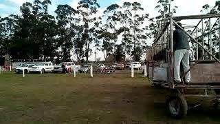 Mi Suelta Con La Suavesita