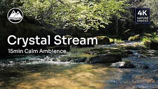 15min Crystal Stream 🌿 Sunny Forest Creek in Austria (4K)