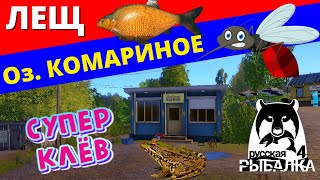 ЛЕЩ СУПЕР КЛЁВ Оз. КОМАРИНОЕ / ФАРМ ✅ РУССКАЯ РЫБАЛКА 4 🔴 Russian Fishing 4 🔴 РР4 / DUM_