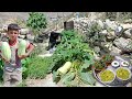 🥒 Organic pumpkin harvest🌿 How to make healthy and delicious food with mountain vegetables