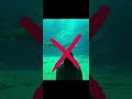 彼女を水族館で綺麗に撮る撮り方#shorts #iphone #iphone撮影 #水族館#暗闇#サメ