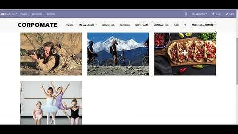 Corpomate Theme - Web Editor Tools Odoo