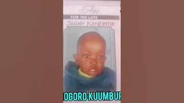 NIOMBITWO 