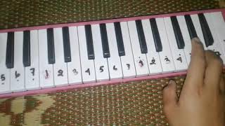 Pianika'Satu Jiwa'Dafa Saputra.