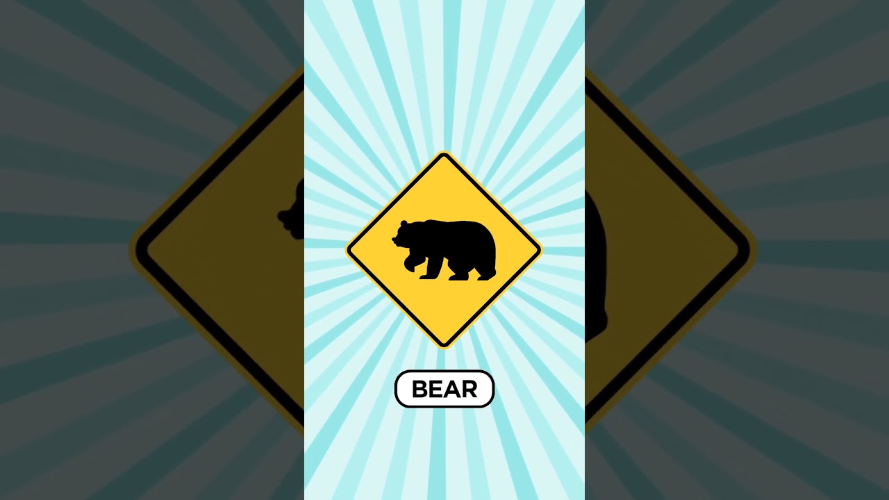 🚦 Test Your Knowledge with the 50 U.S Traffic Signs Quiz! 